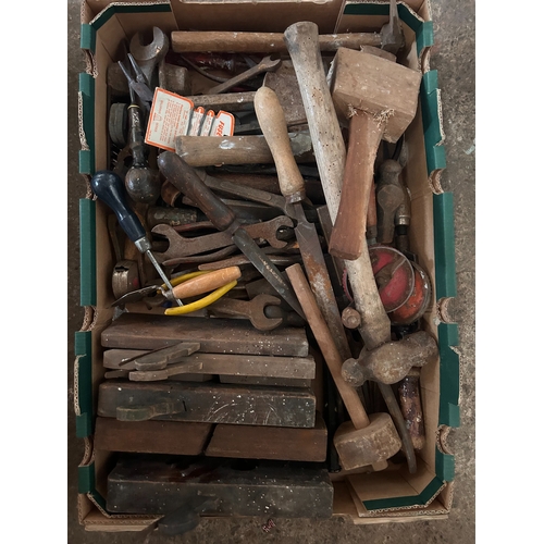 Lot 25        