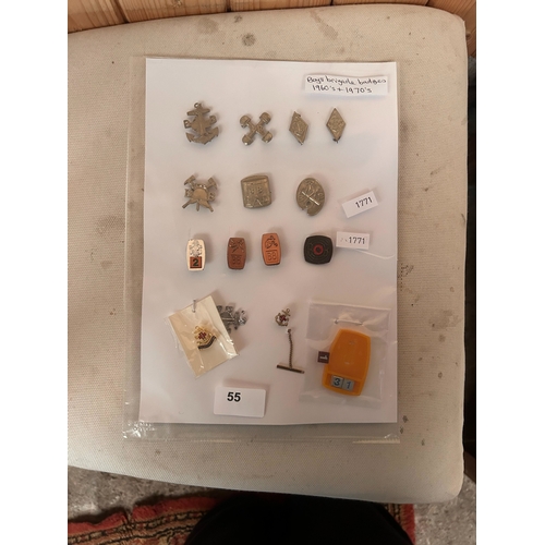 Lot 55        