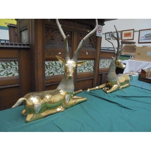 523 - Large pair of model Stags, gold metal with horns, again in metal