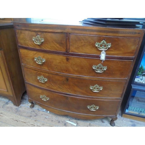 644 - Mahogany bow fronted chest of drawers, 2 small drawers over 3 large with brass handles