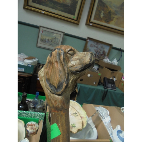 100 - Interesting old 2 gallon watering can together with a staff having dog head feature