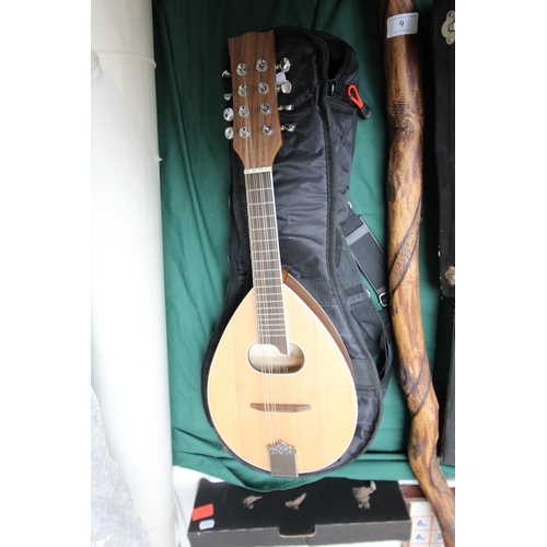 5 - Modern strung Mandolin with case