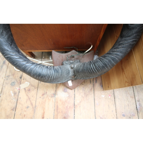 284 - Large heavy mounted antlers, South African Kudo