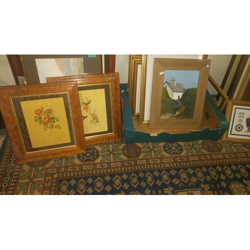 43 - Collection of Framed Botanical Prints and Irish Landscape Prints