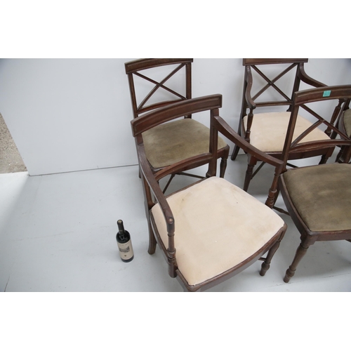 215 - 6 Harlequin Regency Cork Dining Chairs in Mahogany (as found)