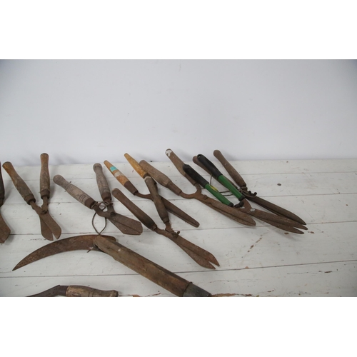 Collection of Garden Shears Etc.