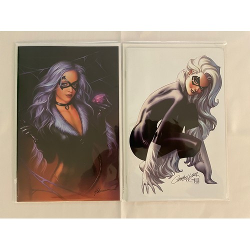 65 - Black Cat #1 Virgin Variants (2 Comics) - The first ongoing series featuring Black cat (2019), 1 x S... 