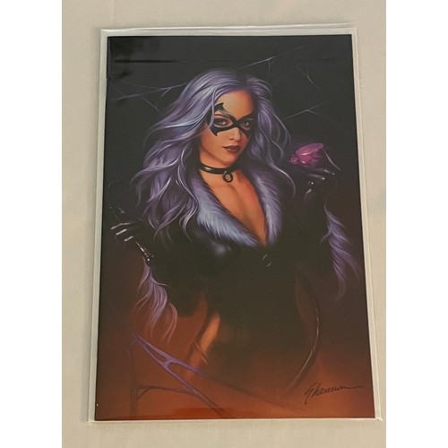 65 - Black Cat #1 Virgin Variants (2 Comics) - The first ongoing series featuring Black cat (2019), 1 x S... 