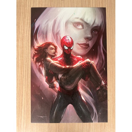 261 - Spider-Man Art Print. Stunning Print measuring 27cm x 42cm.