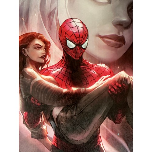 261 - Spider-Man Art Print. Stunning Print measuring 27cm x 42cm.