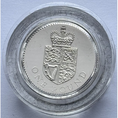 Lot 5         