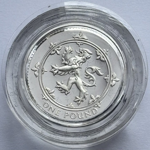 Lot 7         