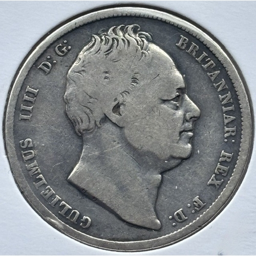 Lot 8         