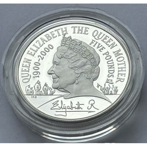 Lot 31        