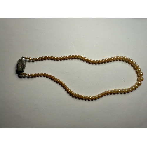 Pearl necklace 925 silver