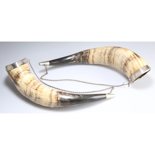 1013 - A PAIR OF VICTORIAN SILVER-PLATE MOUNTED POWDER HORNS, each with suspension chain. (2) 33cm long