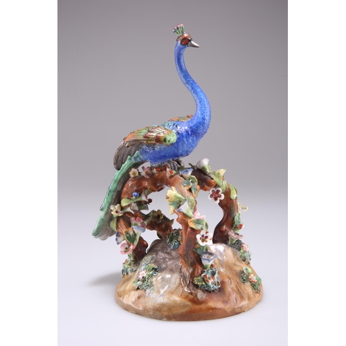 162 - A CONTINENTAL PORCELAIN MODEL OF A PEACOCK, the brightly coloured bird perched on a floral encrusted... 