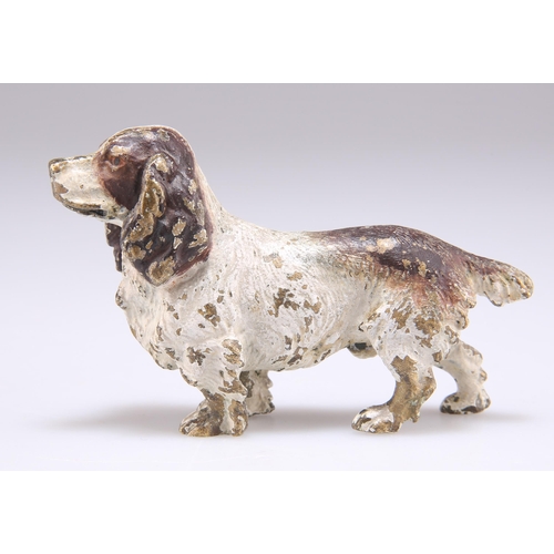 335 - AN AUSTRIAN COLD PAINTED BRONZE MODEL OF A SPANIEL. 5cm by 9cm