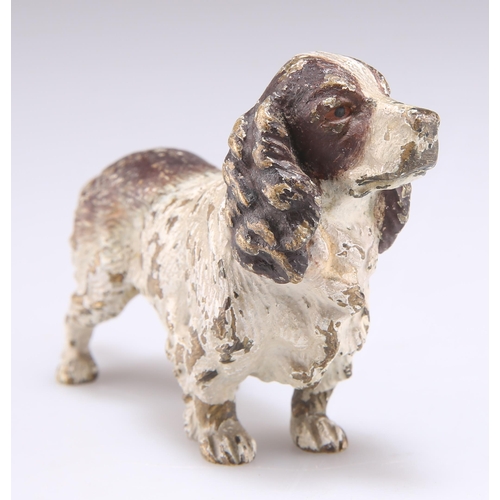 335 - AN AUSTRIAN COLD PAINTED BRONZE MODEL OF A SPANIEL. 5cm by 9cm