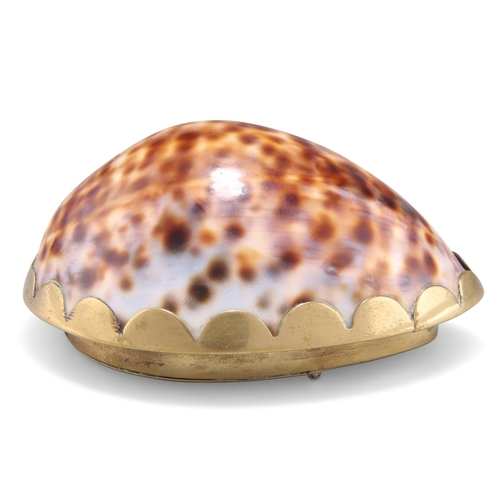 381 - A 19TH CENTURY BRASS-MOUNTED COWRIE SHELL SNUFF BOX, the polished shell mounted with a scallop edge,... 