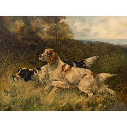 2064 - BRITISH SCHOOL (20TH CENTURY) PAIR OF HUNTING DOGS IN THE FIELD Oils on board(30.5cm x 40cm each)Qty... 