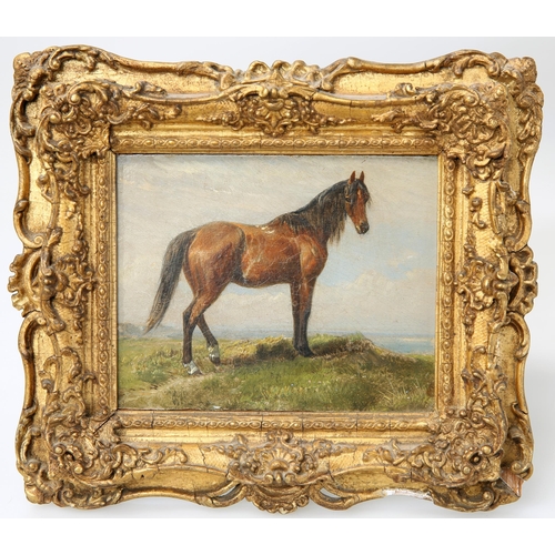 2067 - ENGLISH SCHOOL (19TH/20TH CENTURY) PORTRAIT OF A HORSE IN A COASTAL LANDSCAPE Oil on board
Heavily i... 