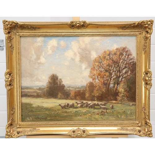 2088 - WILLIAM CHARLES RUSHTON (1860-1921) GRAZING SHEEP Signed
Oil on canvas(44cm x 60cm)... 