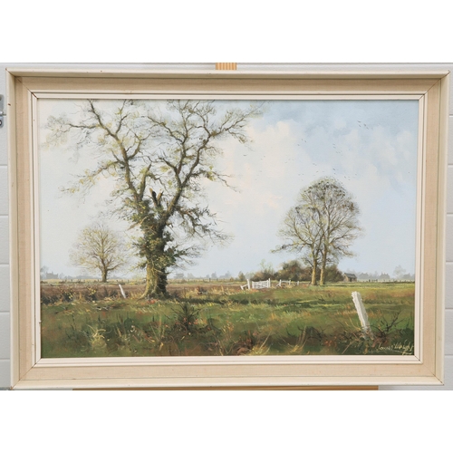 2160 - Y JAMES WRIGHT (1935-) LANDSCAPE Signed
Oil on canvas(44cm x 65cm)