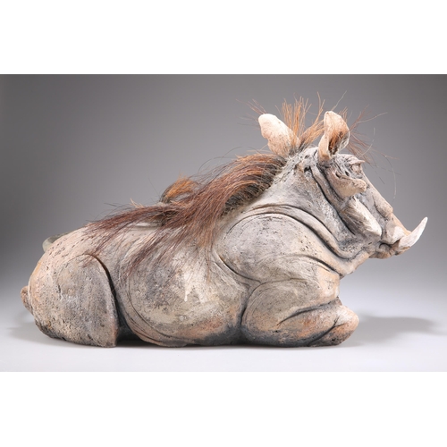 2196 - Y NICK MACKMAN (CONTEMPORARY) WARTHOG Terracotta and mixed media
 
 (50cm long)... 