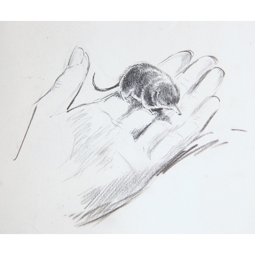 2198 - Y EILEEN ALICE SOPER (1905-1990) TWENTY-FIVE ORIGINAL DRAWINGS OF ANIMALS Pencil and charcoal (25 or... 