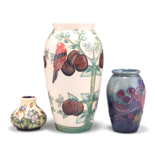 82 - A MOORCROFT LIMITED PLUM TREE AND BIRDS PATTERN TUBE LINED POTTERY VASE, designed by Sally Tuffin, b... 