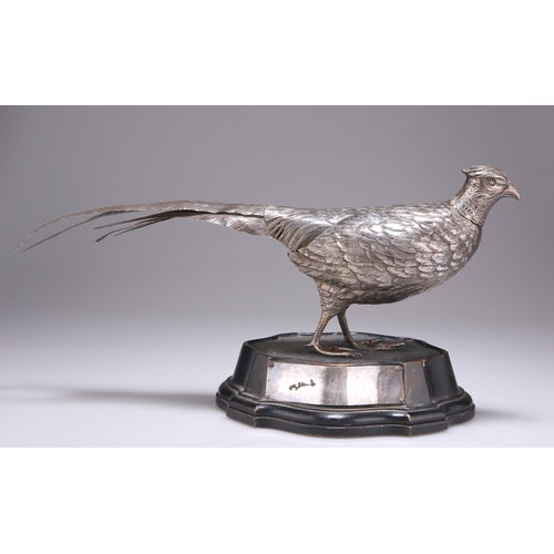 1074 - AN EARLY 20TH CENTURY GERMAN SILVER TABLE MODEL OF A COCK PHEASANT Hanau, import marks, John George ... 