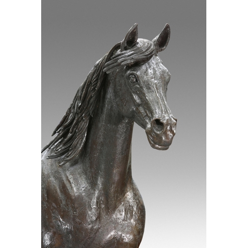 2133 - ‡ SALLY ARNUP FRBS, ARCA (1930-2015) ARAB HORSE ASLAN (1985) Signed and numbered IV/X however only 3... 