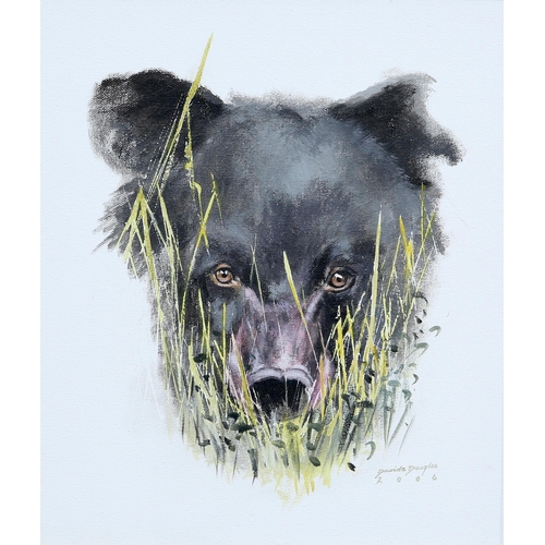 2220 - ‡ DAVID DOUGLAS (CONTEMPORARY) A BEAR THROUGH THE GRASS Signed and dated 2006
Oil on canvas(37cm x 3... 