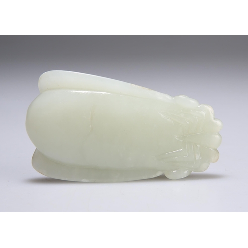 159 - A CHINESE JADE CARVING depicting a cicada. 7.5cm long