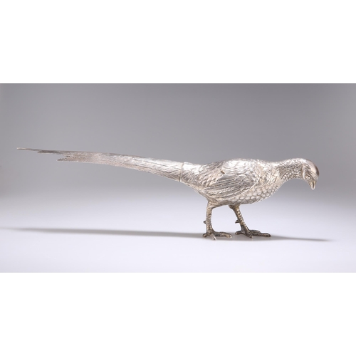 279 - A CONTINENTAL SILVER TABLE MODEL OF A PHEASANT c.1900, of large proportions, with detailed feathers ... 