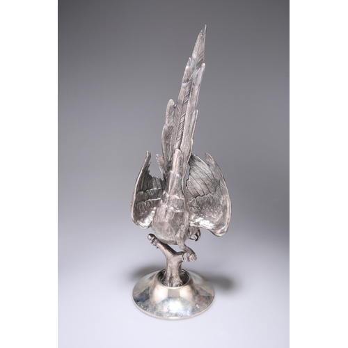 301 - A CONTINENTAL SILVER MODEL OF A MACAW PARROT French import mark, of large proportions, modelled perc... 