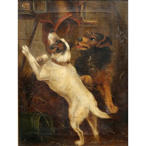 582 - CHARLES DUDLEY (1826-1909) A PAIR OF PICTURES OF TERRIERS CATCHING RATS Signed
Oil on canvas(39.5cm ... 