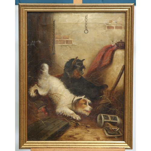 582 - CHARLES DUDLEY (1826-1909) A PAIR OF PICTURES OF TERRIERS CATCHING RATS Signed
Oil on canvas(39.5cm ... 