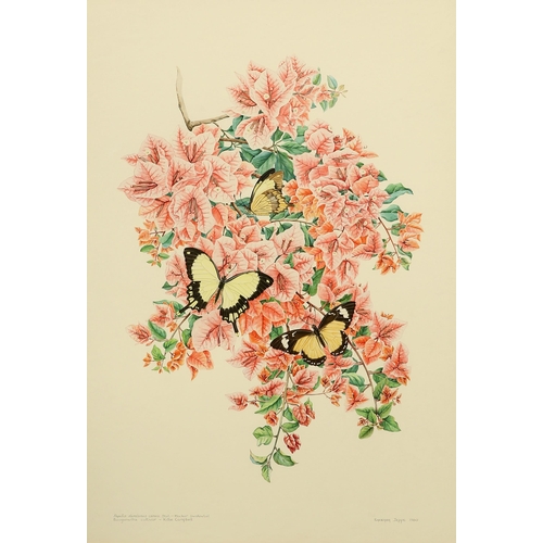 612 - ‡ BARBARA JEPPE (1921-1999) MOCKERTAIL SWALLOWTAIL: KILLIE CAMPBELL, AND AFRICAN FLAME TREE, A PAIR ... 