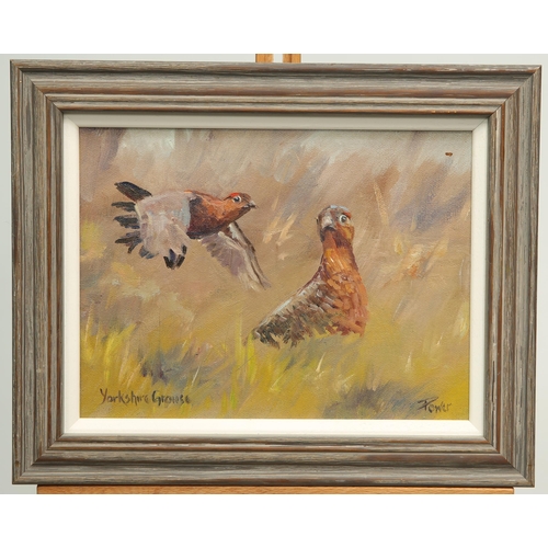 616 - ‡ JAMES POWER (MODERN BRITISH) YORKSHIRE GROUSE Signed
Oil on canvas board
 (17.5cm x 23.5cm)... 