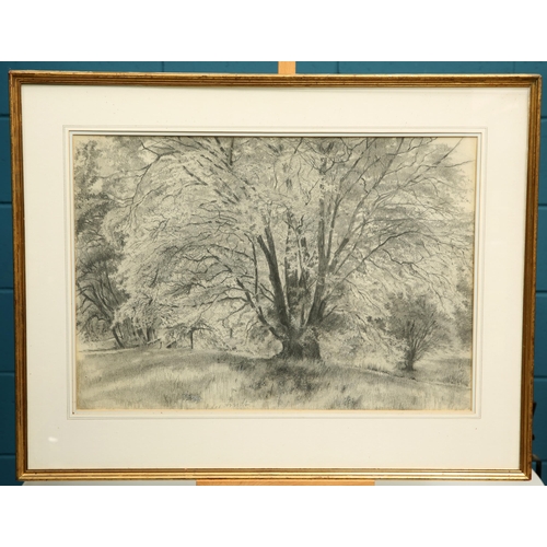 620 - LATE 19TH/EARLY 20TH CENTURY FRENCH SCHOOL LES ARUDS Pencil on paper
 (44cm x 64cm)... 