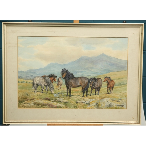 652 - ‡ DOROTHY MARGARET & ELIZABETH MARY ALDERSON (c1900-1992) HIGHLAND PONIES Signed and dated 1972
Wate... 