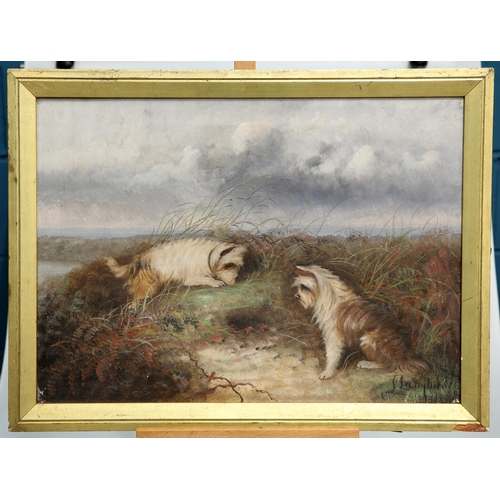 658 - J LANGLOIS (FL 1885-1902) TERRIERS AT A BURROW Signed
Oil on canvas(39.5cm x 55cm)... 