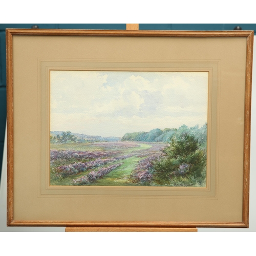 665 - 19TH/EARLY 20TH CENTURY ENGLISH SCHOOL BROCKENHURST Indistinctly monogrammed
Watercolour(25cm x 34cm... 