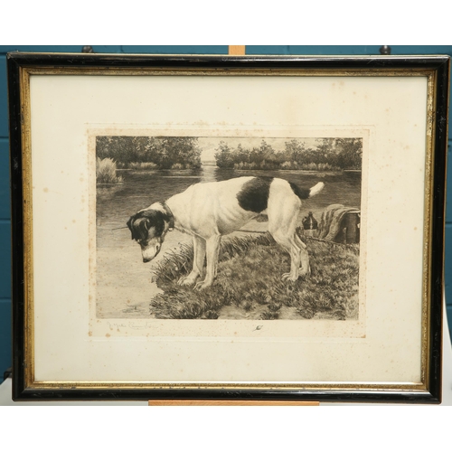 666 - AFTER JAMES YATES CARRINGTON (1857-1892) A PAIR OF SIGNED PRINTS OF TERRIERS Signed in pencil
Prints... 