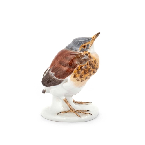 40 - A MEISSEN MODEL OF A YOUNG BLACKBIRD, DESIGNED BY MAX BOCHMANN incised with the initials MB to the r... 