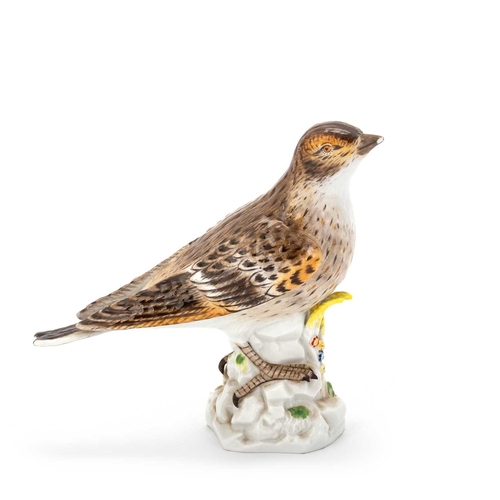 59 - THREE MEISSEN BIRD MODELS comprising thrush, naturalistically modelled in the 18th Century manner, r... 