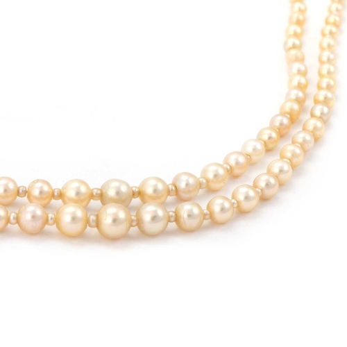 604 - A NATURAL SALTWATER DOUBLE STRAND GRADUATED PEARL NECKLACE the cream pearls with smaller pearl space... 