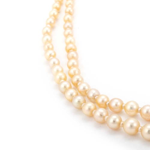 604 - A NATURAL SALTWATER DOUBLE STRAND GRADUATED PEARL NECKLACE the cream pearls with smaller pearl space... 